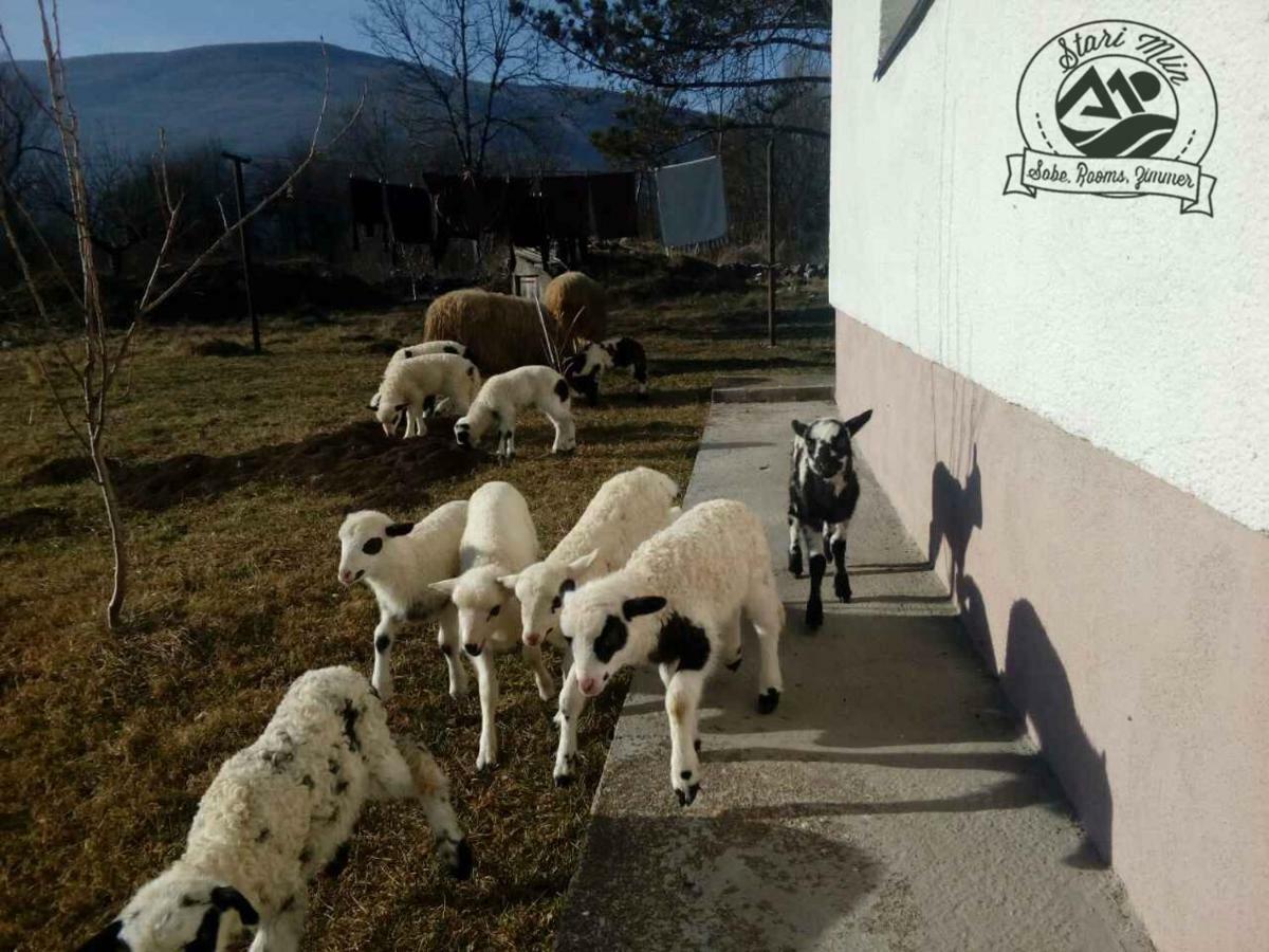Stari Mlin Otel Korenica Dış mekan fotoğraf